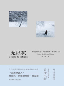 无限灰