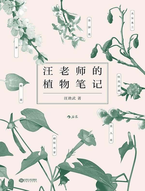 汪老师的植物笔记