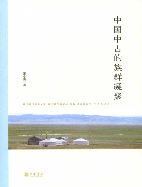 中国中古的族群凝聚(北京大学中国古代史研究中心丛刊)