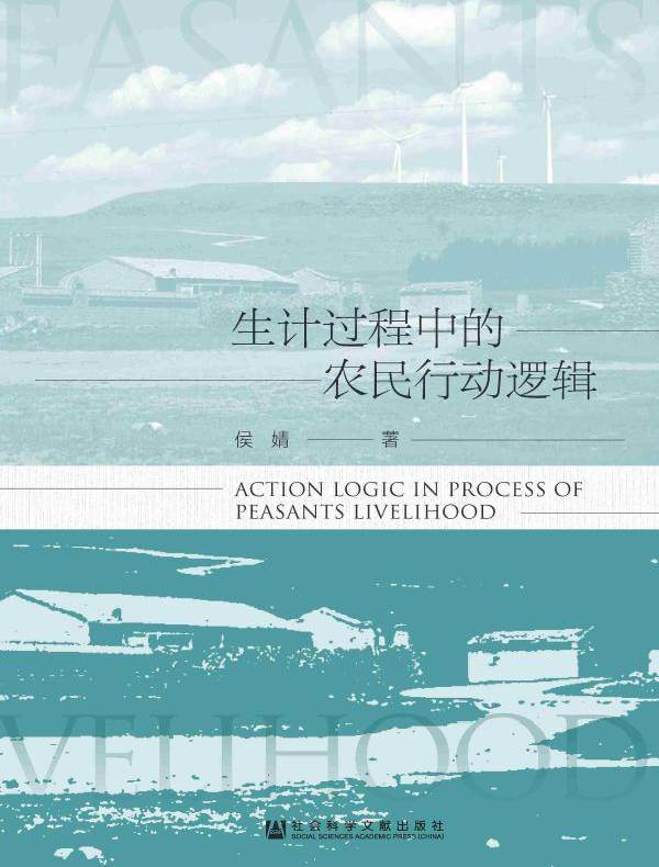 生计过程中的农民行动逻辑