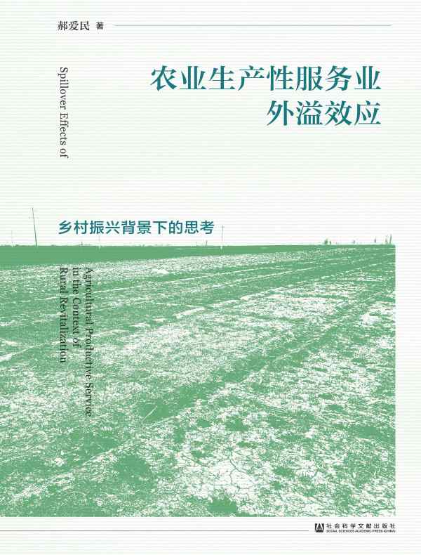 农业生产性服务业外溢效应：乡村振兴背景下的思考