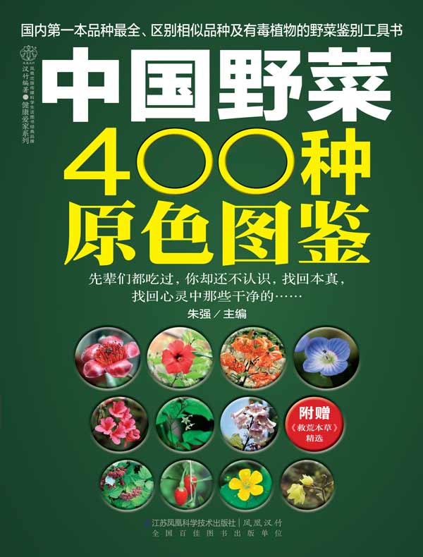 中国野菜400种原色图鉴