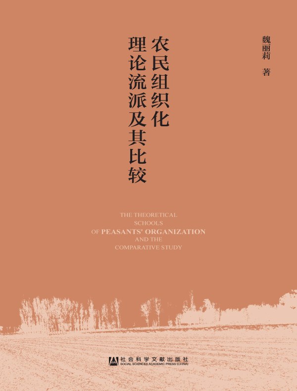 农民组织化理论流派及其比较