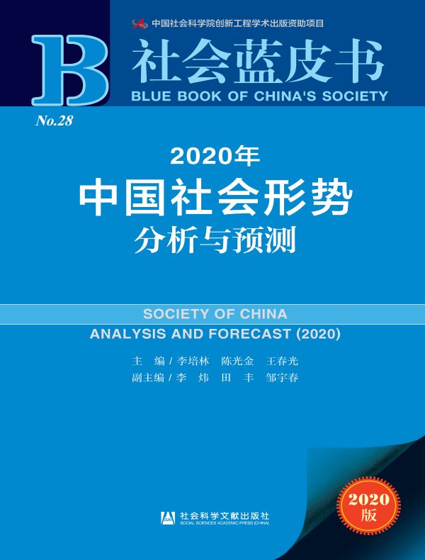 2020年中国社会形势分析与预测（社会蓝皮书）