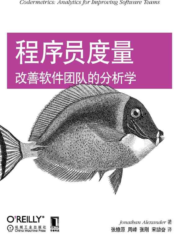 程序员度量:改善软件团队的分析学