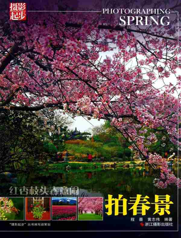 红杏枝头春意闹：拍春景