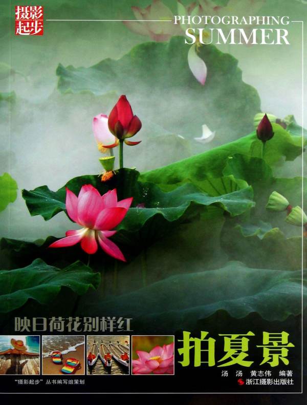 映日荷花别样红：拍夏景