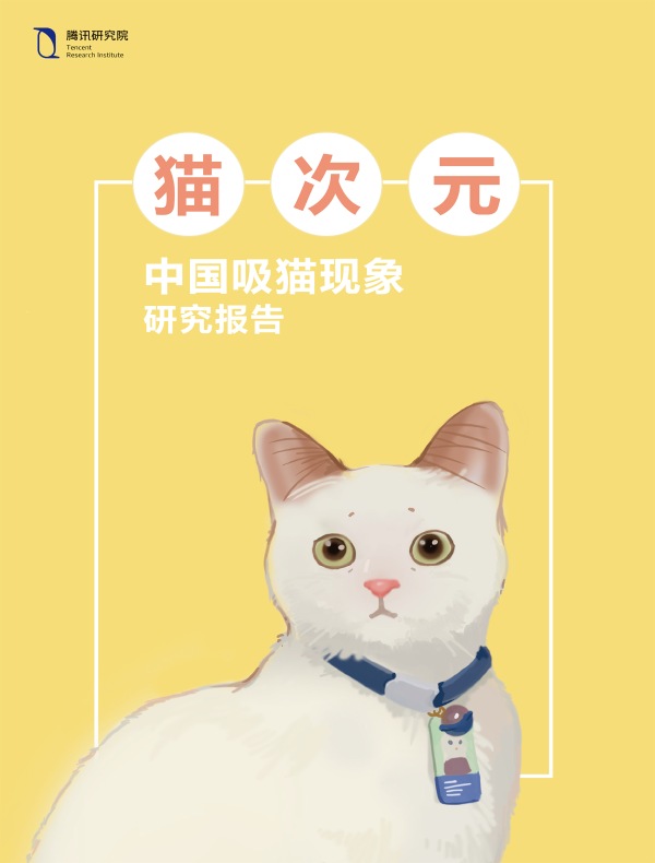 猫次元：中国吸猫现象研究报告