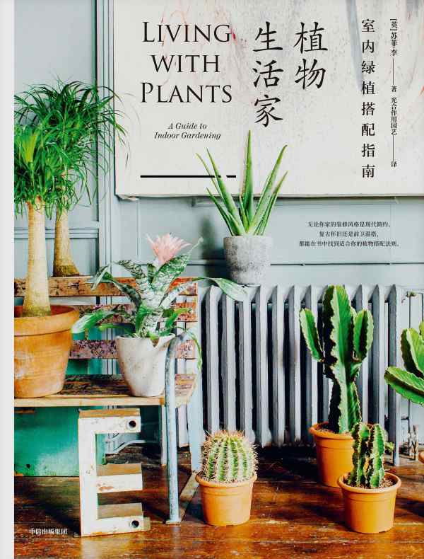植物生活家：室内绿植搭配指南