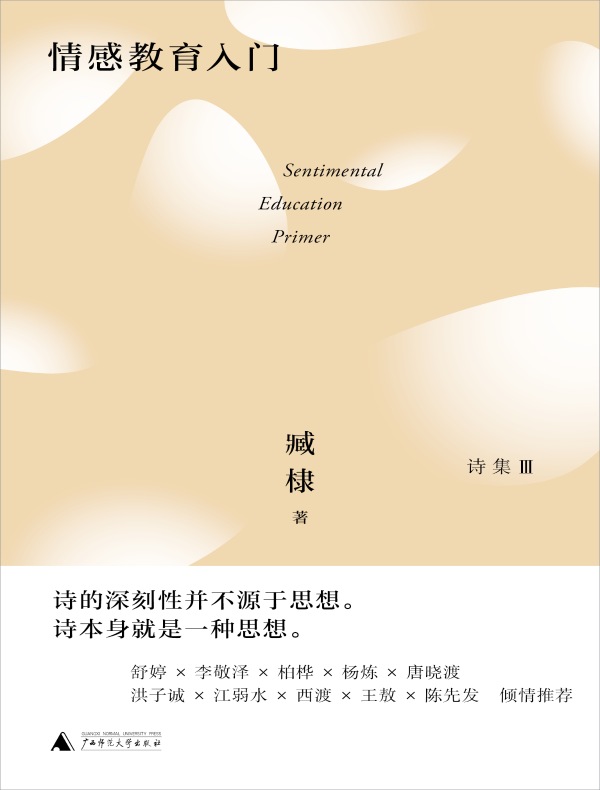 情感教育入门(臧棣诗系)