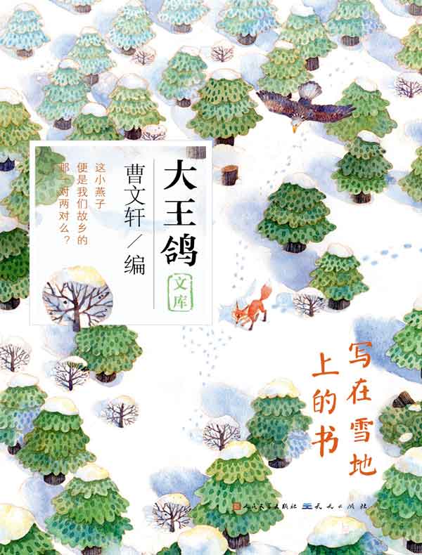 写在雪地上的书