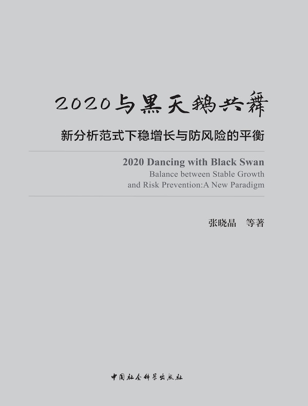 2020与黑天鹅共舞：新分析范式下稳增长与防风险的平衡