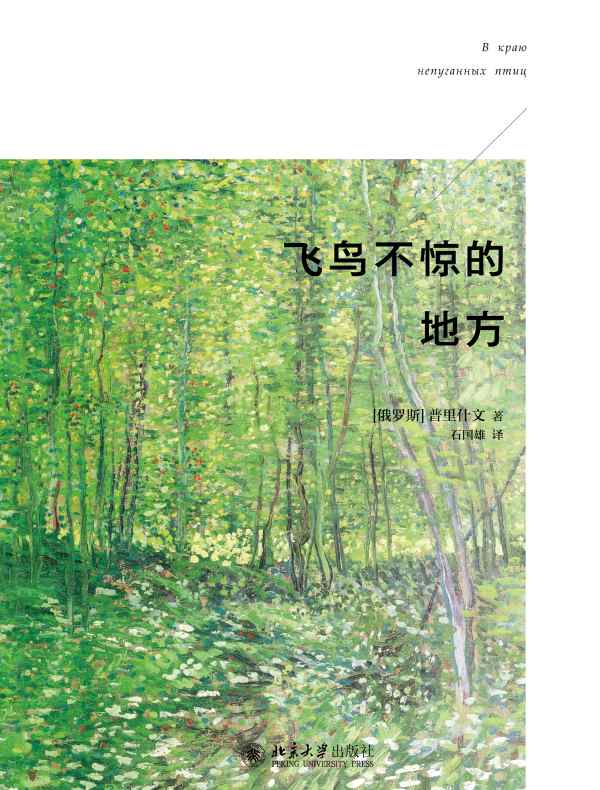 飞鸟不惊的地方