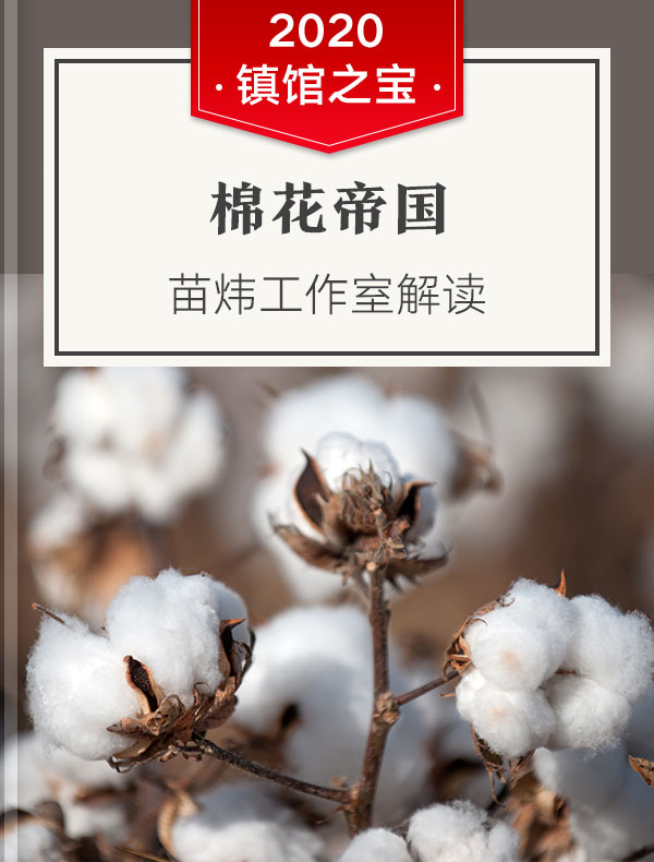《棉花帝国》| 苗炜工作室解读