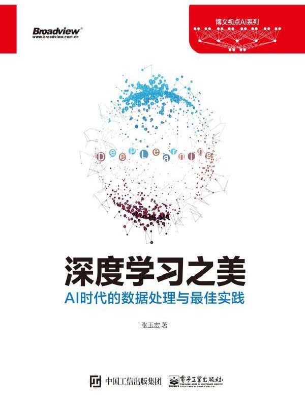 深度学习之美：AI时代的数据处理与最佳实践