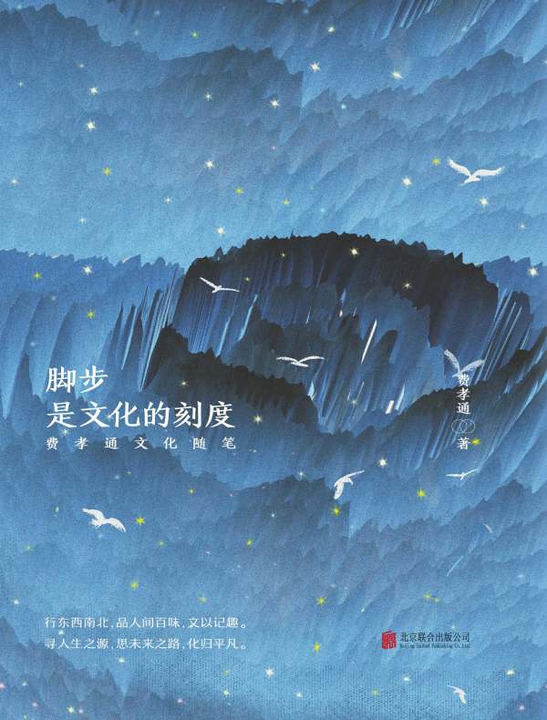 脚步,是文化的刻度:费孝通文化随笔