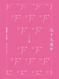 九十九度中（林徽因小全集）