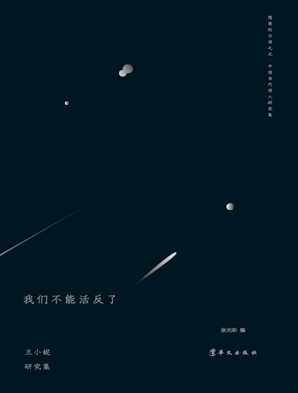 我们不能活反了：王小妮研究集