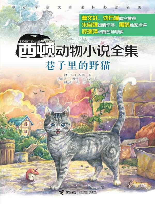 巷子里的野猫