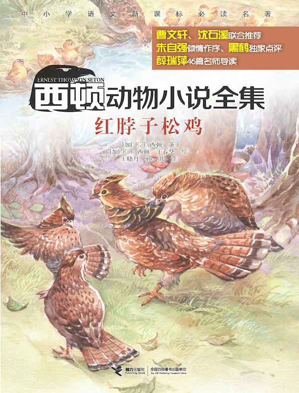 红脖子松鸡