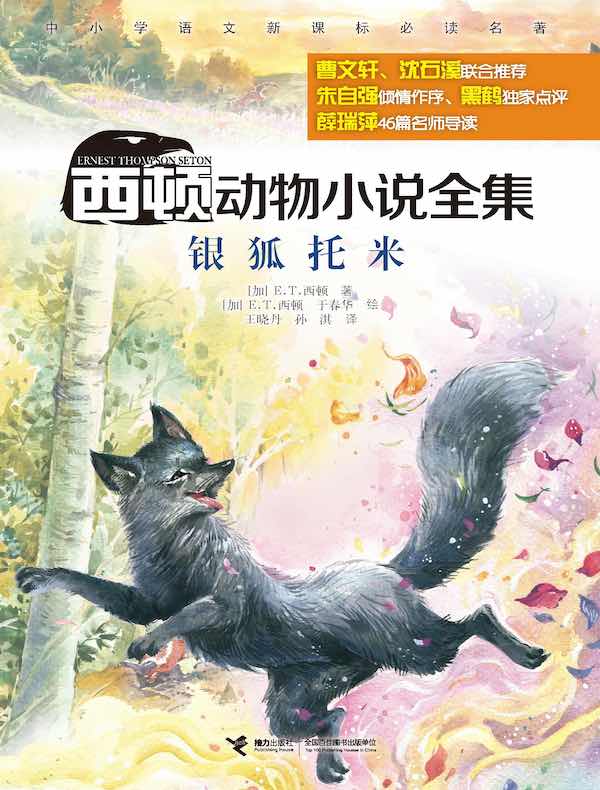 银狐托米