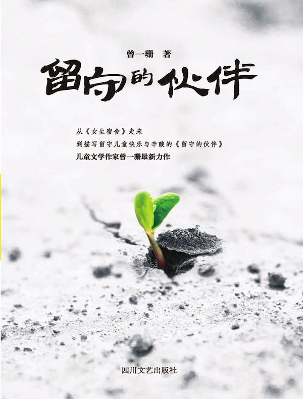 留守的伙伴