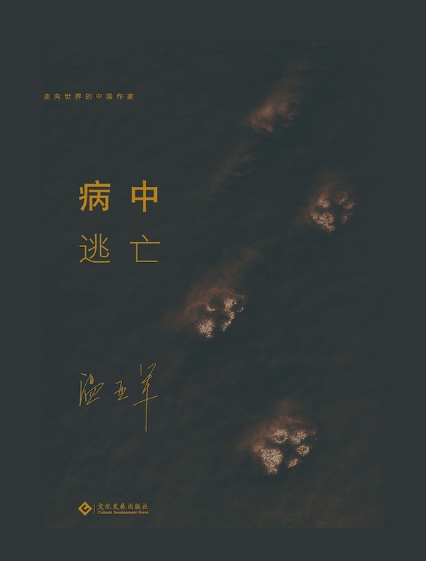病中逃亡