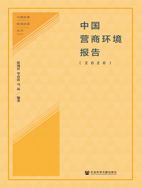 中国营商环境报告（2020）