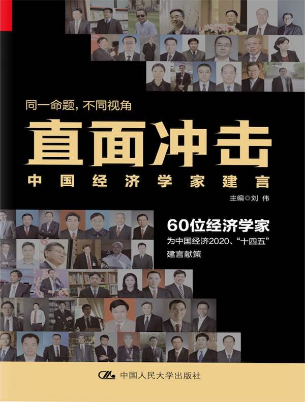 直面冲击：中国经济学家建言