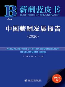 中国薪酬发展报告（2020）（薪酬蓝皮书）