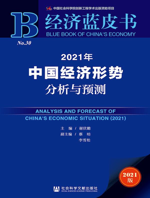 2021年中国经济形势分析与预测（经济蓝皮书）