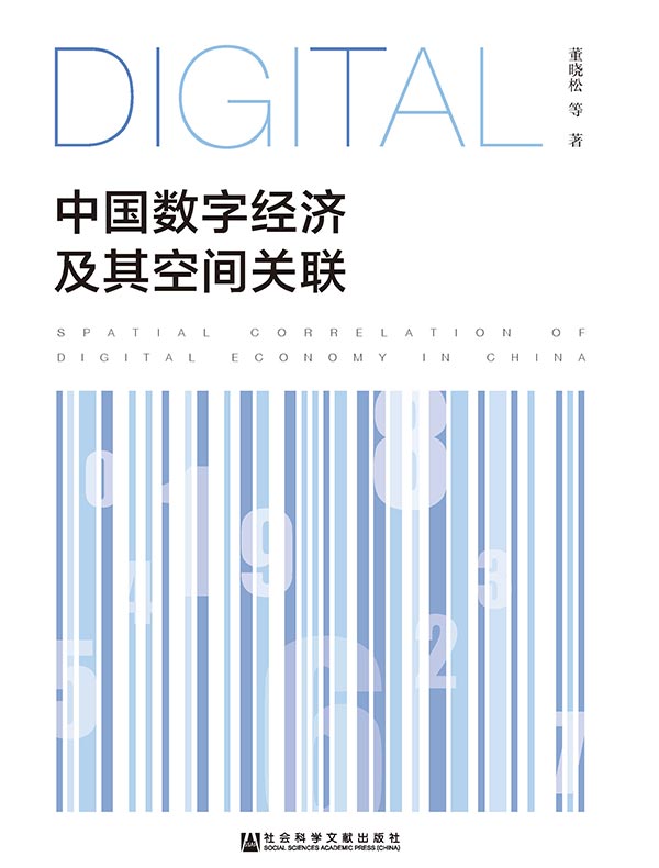 中国数字经济及其空间关联