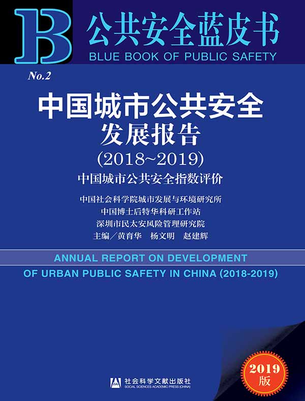 中国城市公共安全发展报告（2018～2019）：中国城市公共安全指数评价（公共安全蓝皮书）