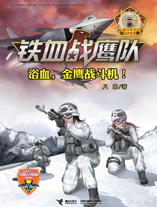 铁血战鹰队：浴血，金鹰战斗机！