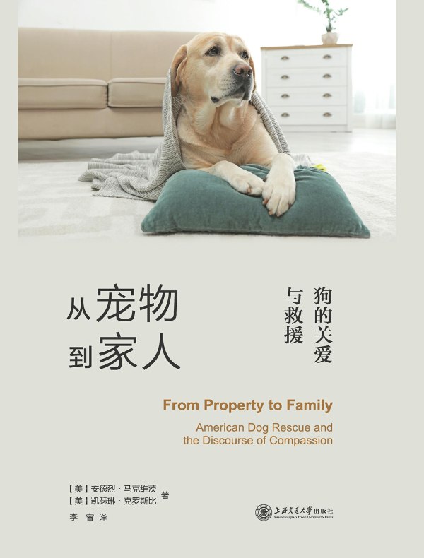 从宠物到家人:狗的关爱与救援