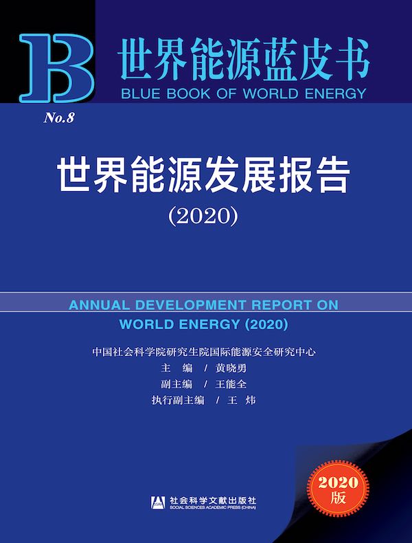 世界能源发展报告(2020)(世界能源蓝皮书)