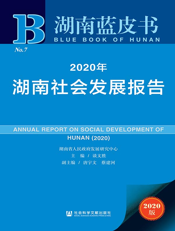 2020年湖南社会发展报告（湖南蓝皮书）