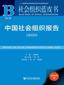 中国社会组织报告（2020社会组织蓝皮书）
