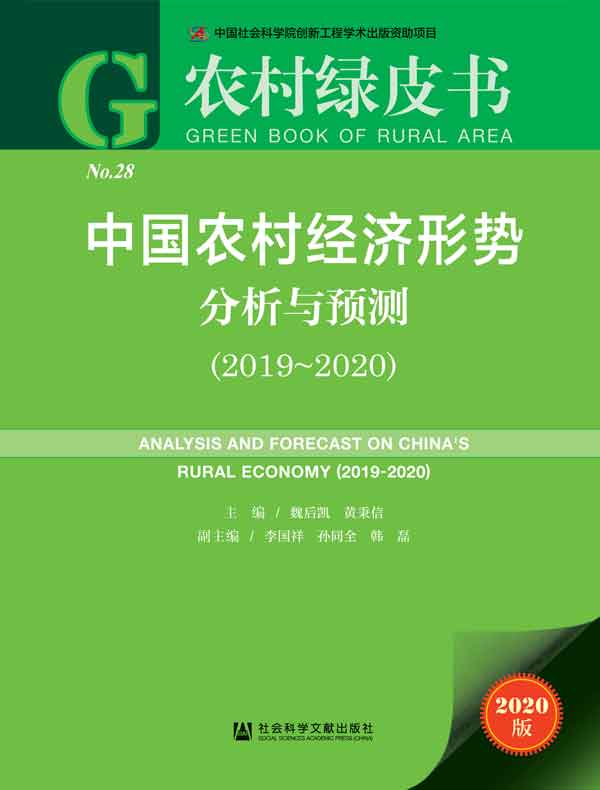 中国农村经济形势分析与预测（2019~2020 农村绿皮书）